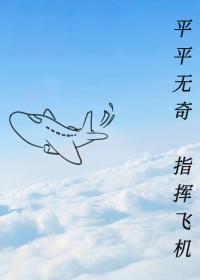 平平无奇，指挥飞机